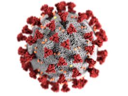 COVID-19, tüm dünyada milyonlarca insanın hayatını kaybetmesine yol açan, aynı zamanda küresel sağlık, ekonomik ve toplumsal sistemleri derinden etkileyen bir pandemi olmuştur. Ancak 2020 yılından itibaren yoğun mücadeleye rağmen, hastalığın etkileri ve tehlikesi birçok ülkede hâlâ hissedilmektedir. Aşıların geliştirilmesi, tedavi yöntemlerinin iyileştirilmesi ve sağlık sistemlerinin güçlendirilmesi gibi birçok gelişmeye rağmen, COVID-19'un tehdit oluşturma durumu, yerel ve küresel ölçekte dikkatle izlenmeye devam etmektedir. Konulu bir haber görseli.