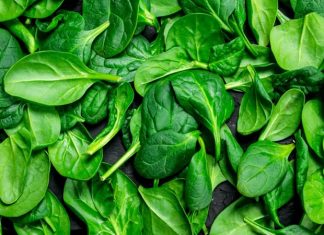 Demir eksikliği anemisi, yorgunluk ve halsizliğin en yaygın ancak çoğu zaman gözden kaçan nedenlerinden biridir. Birçok kişi, sürekli olarak yorgunluk, halsizlik ve enerji kaybı yaşasa da bunun nedeni genellikle demir eksikliği gibi basit bir sağlık sorunu olabilir. Demir, vücudumuzun doğru şekilde işlev görmesi için temel bir mineraldir. Özellikle kırmızı kan hücrelerinin üretimi ve oksijen taşınması açısından kritik bir rol oynar. Ancak demir eksikliği, bir süre fark edilmeden ilerleyebilir ve sonunda anemiye yol açabilir. Bu yazıda, demir eksikliği anemisinin belirtilerini, nedenlerini ve tedavi yöntemlerini ele alacağız. Tüm haber detayı için tıklayınız.