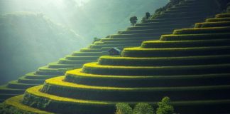 Doğa bilimleri, doğadaki olayları, süreçleri ve sistemleri anlamaya çalışan bilimsel bir disiplindir. Bu alanda yapılan çalışmalar, evrenin nasıl işlediği ve doğadaki canlılar ile cansızlar arasındaki etkileşimleri anlamamıza yardımcı olur. Doğa bilimleri yalnızca insanın çevresini anlamasını sağlamakla kalmaz, aynı zamanda bu bilgileri, doğayla uyumlu bir yaşam sürdürmek için de kullanabilir. İnsanlık tarihindeki en büyük keşiflerden pek çoğu, doğa bilimleri sayesinde yapılmıştır ve bu bilim dalı, teknolojinin, tıbbın ve çevre biliminin temel taşlarını oluşturur. Konulu bir haber görseli.