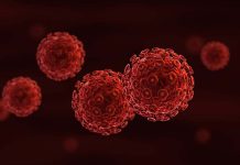 HIV (İnsan Bağışıklık Yetersizliği Virüsü), bağışıklık sistemine zarar vererek vücudun enfeksiyonlarla mücadele etme yeteneğini zayıflatan bir virüstür. Bu virüs, özellikle CD4 hücreleri olarak bilinen bağışıklık sistemi hücrelerine saldırarak onları tahrip eder. Eğer HIV tedavi edilmezse, zamanla bağışıklık sistemi ciddi şekilde zayıflar ve bu durum AIDS (Edinilmiş Bağışıklık Yetersizliği Sendromu) olarak adlandırılan daha ileri bir aşamaya dönüşebilir. Ancak HIV, doğru tedaviyle kontrol altına alınabilir ve AIDS evresine geçiş engellenebilir. HIV ile yaşamayı öğrenmek, erken tanı ve tedavi ile mümkündür. Bu yazıda, HIV’in ne olduğunu, nasıl AIDS’e dönüştüğünü ve AIDS ile HIV arasındaki farkları detaylı bir şekilde ele alacağız. Konulu bir haber görseli.