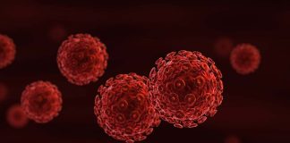 HIV (İnsan Bağışıklık Yetersizliği Virüsü), bağışıklık sistemine zarar vererek vücudun enfeksiyonlarla mücadele etme yeteneğini zayıflatan bir virüstür. Bu virüs, özellikle CD4 hücreleri olarak bilinen bağışıklık sistemi hücrelerine saldırarak onları tahrip eder. Eğer HIV tedavi edilmezse, zamanla bağışıklık sistemi ciddi şekilde zayıflar ve bu durum AIDS (Edinilmiş Bağışıklık Yetersizliği Sendromu) olarak adlandırılan daha ileri bir aşamaya dönüşebilir. Ancak HIV, doğru tedaviyle kontrol altına alınabilir ve AIDS evresine geçiş engellenebilir. HIV ile yaşamayı öğrenmek, erken tanı ve tedavi ile mümkündür. Bu yazıda, HIV’in ne olduğunu, nasıl AIDS’e dönüştüğünü ve AIDS ile HIV arasındaki farkları detaylı bir şekilde ele alacağız. Konulu bir haber görseli.