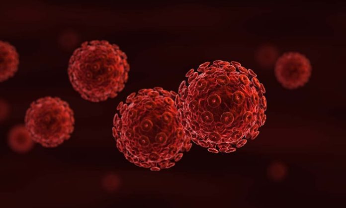 HIV Nedir AIDS’e Nasıl Dönüşür HIV (İnsan Bağışıklık Yetersizliği Virüsü), bağışıklık sistemine zarar vererek vücudun enfeksiyonlarla mücadele etme yeteneğini zayıflatan bir virüstür. Bu virüs, özellikle CD4 hücreleri olarak bilinen bağışıklık sistemi hücrelerine saldırarak onları tahrip eder. Eğer HIV tedavi edilmezse, zamanla bağışıklık sistemi ciddi şekilde zayıflar ve bu durum AIDS (Edinilmiş Bağışıklık Yetersizliği Sendromu) olarak adlandırılan daha ileri bir aşamaya dönüşebilir. Ancak HIV, doğru tedaviyle kontrol altına alınabilir ve AIDS evresine geçiş engellenebilir. HIV ile yaşamayı öğrenmek, erken tanı ve tedavi ile mümkündür. Bu yazıda, HIV’in ne olduğunu, nasıl AIDS’e dönüştüğünü ve AIDS ile HIV arasındaki farkları detaylı bir şekilde ele alacağız. Konulu bir haber görseli.