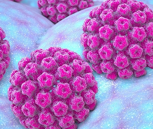 HPV virüsü, insan papillomavirüsü olarak bilinir ve ciltle temas yoluyla bulaşabilen bir virüs grubudur. Dünya çapında yaygın olarak görülen bu virüs, çoğu zaman herhangi bir belirti göstermez ve kendi kendine iyileşebilir. Ancak bazı durumlarda HPV enfeksiyonu, kanser gibi ciddi sağlık sorunlarına yol açabilir. HPV’nin özellikle serviks kanseri ile ilişkilendirilmesi, bu virüsün ne kadar tehlikeli olabileceğini gözler önüne seriyor. Bu yazıda, HPV virüsünün ne olduğunu, hangi kanser türleriyle ilişkilendirildiğini ve korunma yollarını detaylı bir şekilde ele alacağız. Konulu bir haber görseli.