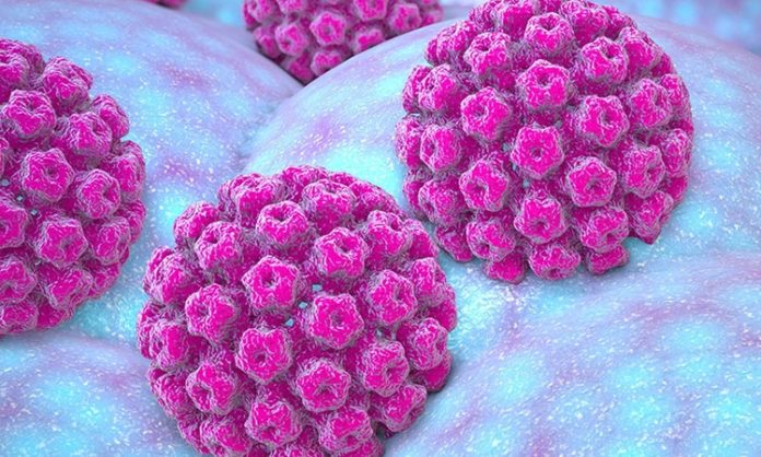 HPV Virüsü Nedir Hangi Kanser Türleriyle İlişkilidir HPV virüsü, insan papillomavirüsü olarak bilinir ve ciltle temas yoluyla bulaşabilen bir virüs grubudur. Dünya çapında yaygın olarak görülen bu virüs, çoğu zaman herhangi bir belirti göstermez ve kendi kendine iyileşebilir. Ancak bazı durumlarda HPV enfeksiyonu, kanser gibi ciddi sağlık sorunlarına yol açabilir. HPV’nin özellikle serviks kanseri ile ilişkilendirilmesi, bu virüsün ne kadar tehlikeli olabileceğini gözler önüne seriyor. Bu yazıda, HPV virüsünün ne olduğunu, hangi kanser türleriyle ilişkilendirildiğini ve korunma yollarını detaylı bir şekilde ele alacağız. Konulu bir haber görseli.