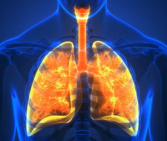 KOAH, yani Kronik Obstrüktif Akciğer Hastalığı, dünya genelinde milyonlarca insanı etkileyen ve ciddi sağlık sorunlarına yol açan ilerleyici bir akciğer hastalığıdır. Bu hastalık, özellikle solunum yollarında daralmaya ve hava akımının kalıcı olarak kısıtlanmasına neden olur. Genellikle uzun yıllar süren zararlı madde maruziyeti sonucu gelişir ve en büyük tetikleyicisi olarak sigara kullanımı gösterilir. KOAH’ın görülme sıklığı giderek artarken, hastalığın ciddiyeti ve yaygınlığı da hem bireysel hem toplumsal düzeyde önemli sonuçlar doğurur. Konulu bir haber görseli.