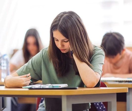 Pedagoji, eğitim bilimlerinin temel taşlarından biri olarak, öğretim süreçlerinin planlanmasında, uygulanmasında ve değerlendirilmesinde hayati bir rol oynar. Özellikle öğrencilerin başarı düzeylerini doğrudan etkileyen faktörlerin başında gelir. Eğitim sistemlerinin gelişmişliği, büyük ölçüde pedagojik ilkelerin ne kadar etkili biçimde uygulandığına bağlıdır. Pedagojik yaklaşımın modern ve bilimsel temellere dayanması, öğrencilerin öğrenme süreçlerini kolaylaştırmakta ve bireysel farklılıkların dikkate alınmasına imkân tanımaktadır. Konulu bir haber görseli.