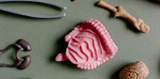 Son yıllarda yapılan bilimsel araştırmalar, bağırsak sağlığının genel vücut sağlığı üzerindeki etkilerini ortaya koydukça, “mikrobiyota” kavramı giderek daha fazla gündeme gelmeye başladı. Vücudumuzda bulunan trilyonlarca mikroorganizmanın büyük bir kısmı bağırsaklarımızda yaşar ve bu mikroskobik canlı topluluğu "bağırsak mikrobiyotası" olarak adlandırılır. Sağlıklı bir bağırsak mikrobiyotası, sindirim sistemi işlevlerinden bağışıklık sisteminin güçlenmesine, ruh halinden hormon dengesine kadar çok sayıda süreci etkiler. Bu mikroorganizmaların dengede olması, yaşam kalitesi ve hastalıklara karşı direnç açısından kritik öneme sahiptir. Konulu bir haber görseli