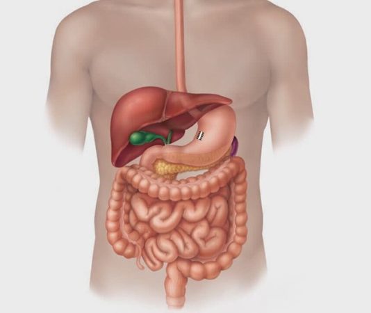 Günlük yaşam kalitesini doğrudan etkileyen sindirim sistemi rahatsızlıkları, dünya genelinde en sık karşılaşılan sağlık sorunları arasında yer alıyor. Midemizden bağırsaklara, yemek borusundan karaciğere kadar uzanan bu sistem, yediğimiz gıdaların emilimini sağlamakla görevli olduğu gibi, vücudun genel dengesini de koruyan hayati işlevleri yerine getiriyor. Ancak bu sistemin herhangi bir bölümünde meydana gelen bir aksaklık, ciddi sindirim sorunları ve çeşitli belirtilerle kendini gösterebilir. Özellikle kronikleşen sindirim problemleri, altında daha karmaşık rahatsızlıkların yattığını haber verebilir. Konulu bir haber görseli.