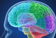 Sosyal duygusal öğrenme (SDÖ), bireylerin duygusal zekâlarını geliştirmelerine yardımcı olan, sosyal becerileri ve ilişkileri güçlendiren bir öğrenme modelidir. Bu model, öğrencilerin sadece akademik başarılarını değil, aynı zamanda duygusal farkındalık, empati, özdenetim gibi becerilerini geliştirmeyi amaçlar. Eğitimde sosyal duygusal öğrenme, sınıf içindeki etkileşimleri daha sağlıklı ve anlamlı hale getirebilir. Peki, sosyal duygusal öğrenme nedir ve eğitimle nasıl bütünleşir? Bu yazıda, SDÖ'nün eğitimdeki rolünü, önemini ve sınıf içindeki uygulamalarını ele alacağız. Konulu bir haber görseli.