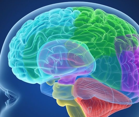 Sosyal duygusal öğrenme (SDÖ), bireylerin duygusal zekâlarını geliştirmelerine yardımcı olan, sosyal becerileri ve ilişkileri güçlendiren bir öğrenme modelidir. Bu model, öğrencilerin sadece akademik başarılarını değil, aynı zamanda duygusal farkındalık, empati, özdenetim gibi becerilerini geliştirmeyi amaçlar. Eğitimde sosyal duygusal öğrenme, sınıf içindeki etkileşimleri daha sağlıklı ve anlamlı hale getirebilir. Peki, sosyal duygusal öğrenme nedir ve eğitimle nasıl bütünleşir? Bu yazıda, SDÖ'nün eğitimdeki rolünü, önemini ve sınıf içindeki uygulamalarını ele alacağız. Konulu bir haber görseli.