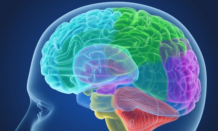 Sosyal Duygusal Öğrenme Nedir Eğitimle Nasıl Bütünleşir Sosyal duygusal öğrenme (SDÖ), bireylerin duygusal zekâlarını geliştirmelerine yardımcı olan, sosyal becerileri ve ilişkileri güçlendiren bir öğrenme modelidir. Bu model, öğrencilerin sadece akademik başarılarını değil, aynı zamanda duygusal farkındalık, empati, özdenetim gibi becerilerini geliştirmeyi amaçlar. Eğitimde sosyal duygusal öğrenme, sınıf içindeki etkileşimleri daha sağlıklı ve anlamlı hale getirebilir. Peki, sosyal duygusal öğrenme nedir ve eğitimle nasıl bütünleşir? Bu yazıda, SDÖ'nün eğitimdeki rolünü, önemini ve sınıf içindeki uygulamalarını ele alacağız. Konulu bir haber görseli.