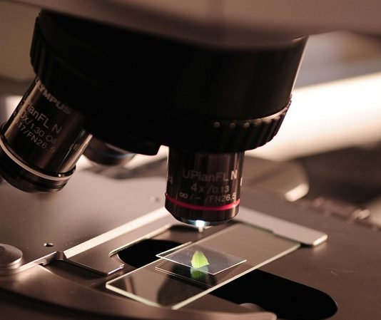 Bilimsel bilgi üretiminin merkezinde yer alan kavramlardan biri olan teori, hem akademik dünyada hem de günlük hayatta sıkça kullanılan ama çoğu zaman yanlış anlaşılan bir terimdir. Özellikle bilim, araştırma, gözlem ve deney süreçlerinin içinde şekillenen teoriler, yalnızca varsayım ya da tahmin olarak değil, güçlü dayanaklara sahip sistematik açıklamalar olarak değerlendirilmelidir. Bu haber metninde, teorinin tanımından başlayarak işlevine, bilimsel bilgi içindeki yerine ve toplum üzerindeki etkilerine dek kapsamlı bir analiz sunulacaktır. Konulu bir haber görseli.