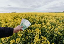 Ticaret, en basit tanımıyla mal veya hizmetlerin alım-satım yoluyla el değiştirmesi sürecidir. Ancak bu tanım, günümüzde dijitalleşmenin, küreselleşmenin ve pazar yapılarının değişmesiyle çok daha kapsamlı hale gelmiştir. Artık ticaret yalnızca bir dükkân açmak ya da bir ürünü satmakla sınırlı değildir. Ticaret olarak ne yapılır? sorusu, girişimcilik yoluna çıkmak isteyen herkesin sorması gereken ilk sorulardandır. Bu soruya verilen yanıt, yalnızca yapılabilecek işleri değil, aynı zamanda o işin sürdürülebilir olup olmayacağını da belirler. Konulu bir haber görseli.