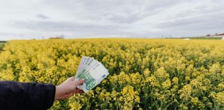 Ticaret Olarak Ne Yapılır? Ticaret, en basit tanımıyla mal veya hizmetlerin alım-satım yoluyla el değiştirmesi sürecidir. Ancak bu tanım, günümüzde dijitalleşmenin, küreselleşmenin ve pazar yapılarının değişmesiyle çok daha kapsamlı hale gelmiştir. Artık ticaret yalnızca bir dükkân açmak ya da bir ürünü satmakla sınırlı değildir. Ticaret olarak ne yapılır? sorusu, girişimcilik yoluna çıkmak isteyen herkesin sorması gereken ilk sorulardandır. Bu soruya verilen yanıt, yalnızca yapılabilecek işleri değil, aynı zamanda o işin sürdürülebilir olup olmayacağını da belirler. Konulu bir haber görseli.