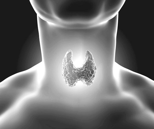 İnsan vücudu, hayatta kalmak ve sağlıklı kalabilmek için kusursuz bir hormon dengesine ihtiyaç duyar. Bu dengeyi sağlayan organlardan biri olan tiroid bezi, boynun ön kısmında yer alır ve metabolizma başta olmak üzere pek çok yaşamsal fonksiyonu yöneten hormonları salgılar. Kelebek şeklindeki bu küçük bez, göründüğünden çok daha fazla öneme sahiptir. Tiroid hormonları, hücrelerin enerji üretiminden vücut ısısına, kalp atış hızından zihinsel aktivitelere kadar birçok alanda belirleyici rol oynar. Bu nedenle tiroid bezlerinin salgıladığı hormonların bilinmesi, hem hastalıkların önlenmesi hem de mevcut rahatsızlıkların doğru tedavisi açısından hayati önem taşır. Konulu bir haber görseli