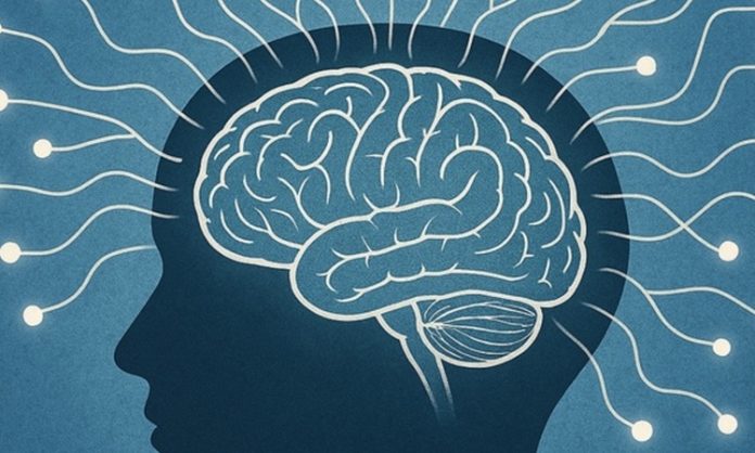 Eğitimde, öğrenmenin daha verimli ve etkili olabilmesi için sürekli yeni yöntemler ve teknikler geliştirilmektedir. Bu bağlamda zihin haritası tekniği, son yıllarda öğretmenler ve öğrenciler tarafından yaygın olarak kullanılan bir araç haline gelmiştir. Zihin haritaları, öğrencilerin bilgileri daha düzenli bir şekilde öğrenmelerine ve hatırlamalarına yardımcı olabilir. Ancak bu tekniğin ne kadar etkili olduğu, eğitim süreçlerinde nasıl uygulandığı ve öğrencilere sağladığı faydalar hala sıkça tartışılmaktadır. Konulu bir haber görseli.